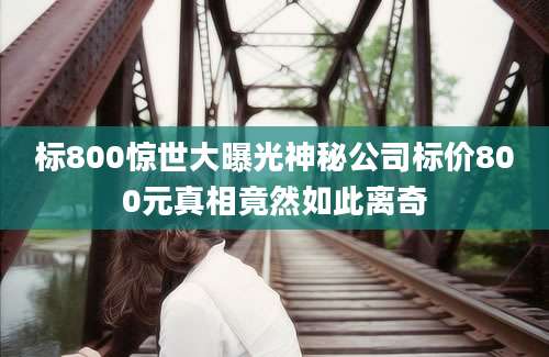 标800惊世大曝光神秘公司标价800元真相竟然如此离奇