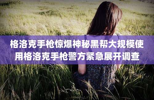 格洛克手枪惊爆神秘黑帮大规模使用格洛克手枪警方紧急展开调查