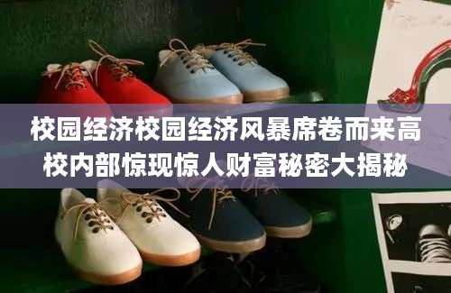 校园经济校园经济风暴席卷而来高校内部惊现惊人财富秘密大揭秘