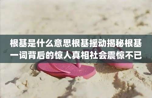 根基是什么意思根基摇动揭秘根基一词背后的惊人真相社会震惊不已