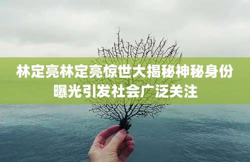 林定亮林定亮惊世大揭秘神秘身份曝光引发社会广泛关注