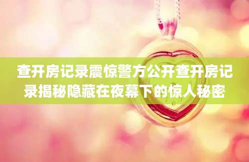 查开房记录震惊警方公开查开房记录揭秘隐藏在夜幕下的惊人秘密