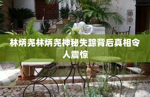 林炳尧林炳尧神秘失踪背后真相令人震惊