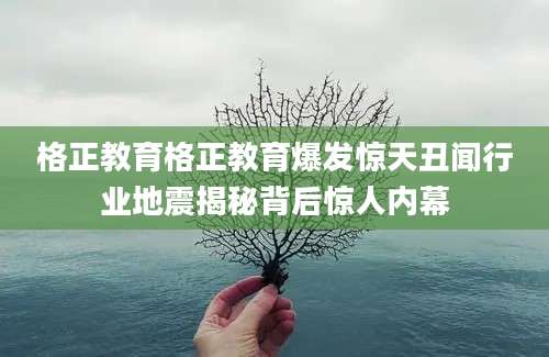 格正教育格正教育爆发惊天丑闻行业地震揭秘背后惊人内幕
