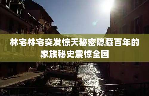 林宅林宅突发惊天秘密隐藏百年的家族秘史震惊全国