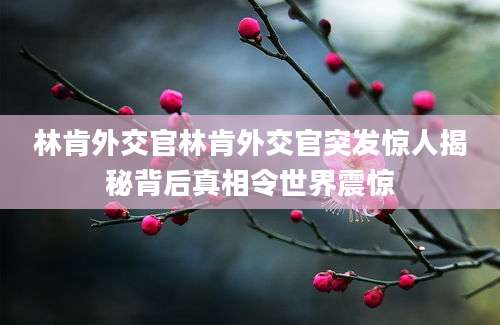 林肯外交官林肯外交官突发惊人揭秘背后真相令世界震惊