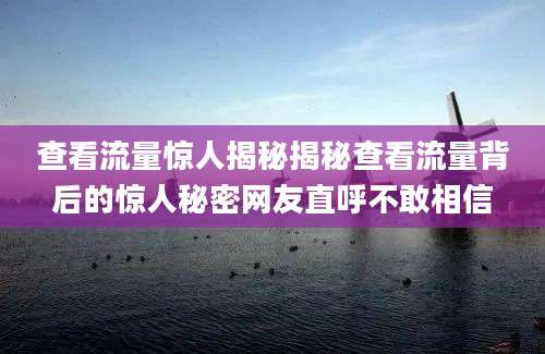 查看流量惊人揭秘揭秘查看流量背后的惊人秘密网友直呼不敢相信