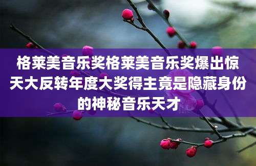 格莱美音乐奖格莱美音乐奖爆出惊天大反转年度大奖得主竟是隐藏身份的神秘音乐天才