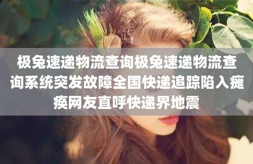 极兔速递物流查询极兔速递物流查询系统突发故障全国快递追踪陷入瘫痪网友直呼快递界地震