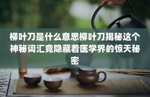 柳叶刀是什么意思柳叶刀揭秘这个神秘词汇竟隐藏着医学界的惊天秘密