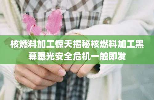 核燃料加工惊天揭秘核燃料加工黑幕曝光安全危机一触即发