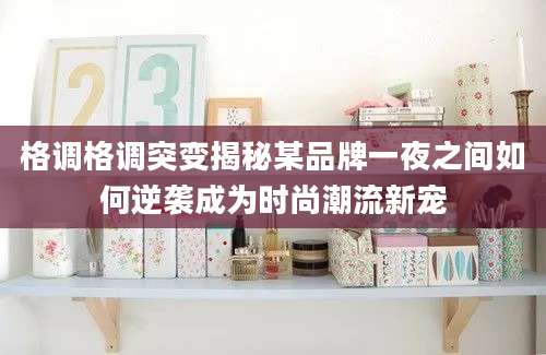 格调格调突变揭秘某品牌一夜之间如何逆袭成为时尚潮流新宠