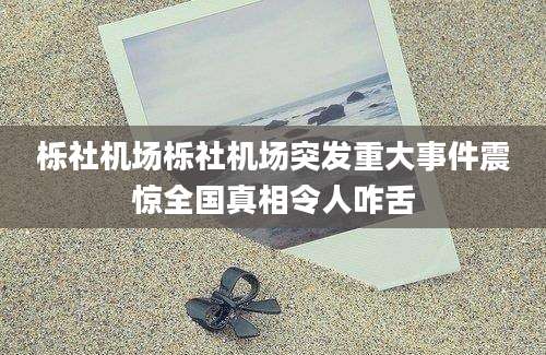 栎社机场栎社机场突发重大事件震惊全国真相令人咋舌