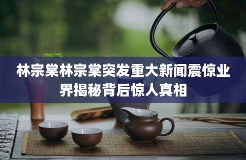 林宗棠林宗棠突发重大新闻震惊业界揭秘背后惊人真相