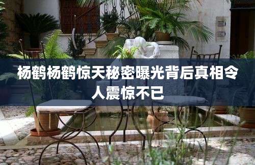 杨鹤杨鹤惊天秘密曝光背后真相令人震惊不已