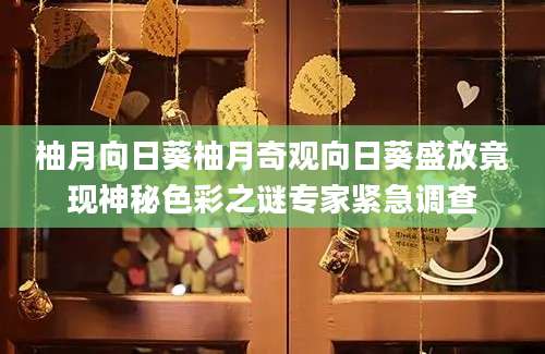 柚月向日葵柚月奇观向日葵盛放竟现神秘色彩之谜专家紧急调查