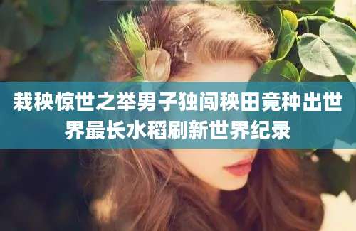 栽秧惊世之举男子独闯秧田竟种出世界最长水稻刷新世界纪录