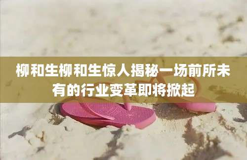 柳和生柳和生惊人揭秘一场前所未有的行业变革即将掀起
