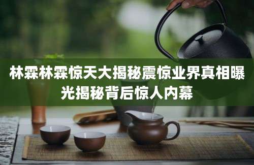 林霖林霖惊天大揭秘震惊业界真相曝光揭秘背后惊人内幕