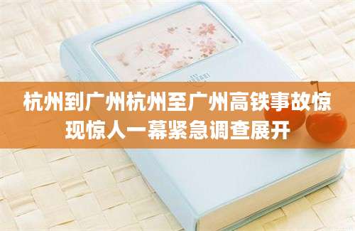 杭州到广州杭州至广州高铁事故惊现惊人一幕紧急调查展开