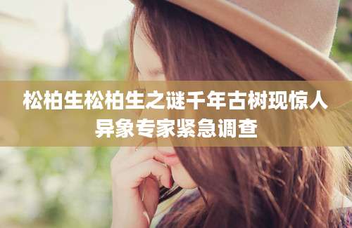 松柏生松柏生之谜千年古树现惊人异象专家紧急调查