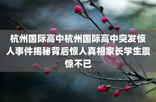 杭州国际高中杭州国际高中突发惊人事件揭秘背后惊人真相家长学生震惊不已