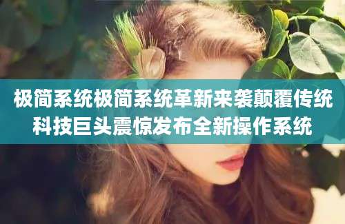 极简系统极简系统革新来袭颠覆传统科技巨头震惊发布全新操作系统