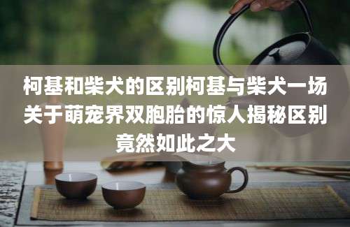 柯基和柴犬的区别柯基与柴犬一场关于萌宠界双胞胎的惊人揭秘区别竟然如此之大