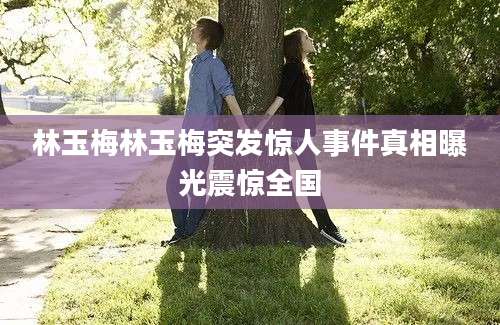 林玉梅林玉梅突发惊人事件真相曝光震惊全国