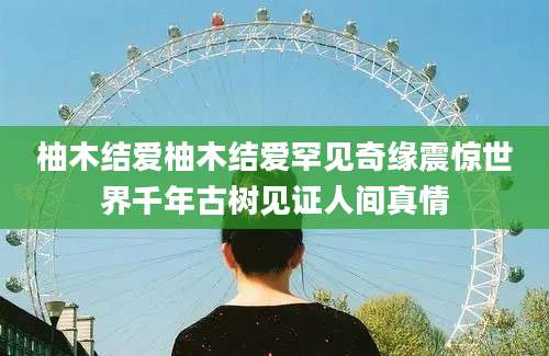 柚木结爱柚木结爱罕见奇缘震惊世界千年古树见证人间真情