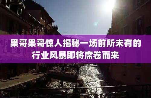 果哥果哥惊人揭秘一场前所未有的行业风暴即将席卷而来