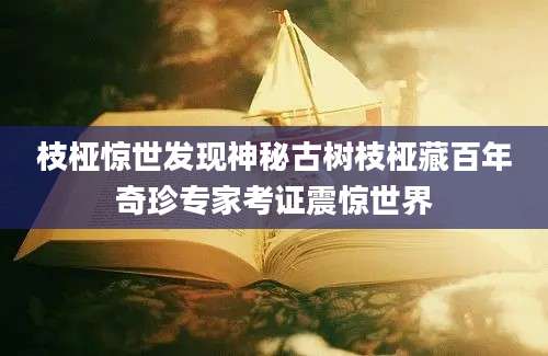 枝桠惊世发现神秘古树枝桠藏百年奇珍专家考证震惊世界