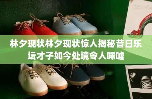 林夕现状林夕现状惊人揭秘昔日乐坛才子如今处境令人唏嘘