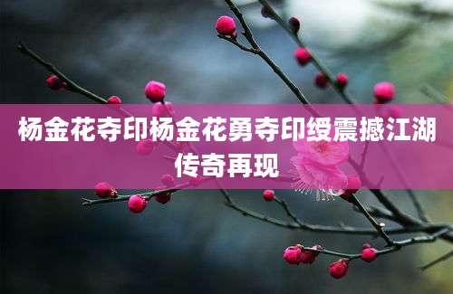 杨金花夺印杨金花勇夺印绶震撼江湖传奇再现