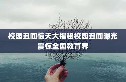 校园丑闻惊天大揭秘校园丑闻曝光震惊全国教育界