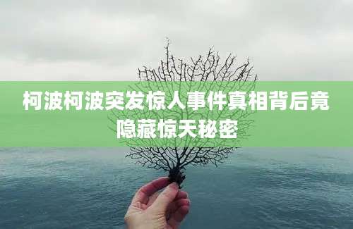 柯波柯波突发惊人事件真相背后竟隐藏惊天秘密