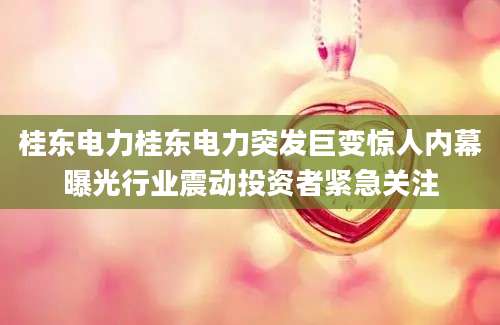 桂东电力桂东电力突发巨变惊人内幕曝光行业震动投资者紧急关注