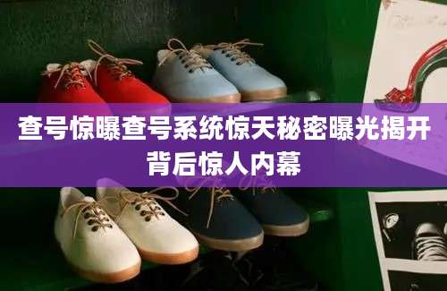 查号惊曝查号系统惊天秘密曝光揭开背后惊人内幕