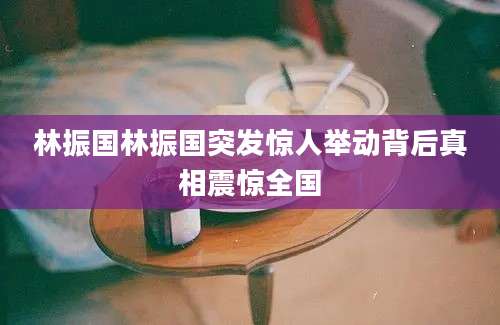 林振国林振国突发惊人举动背后真相震惊全国