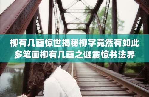 柳有几画惊世揭秘柳字竟然有如此多笔画柳有几画之谜震惊书法界
