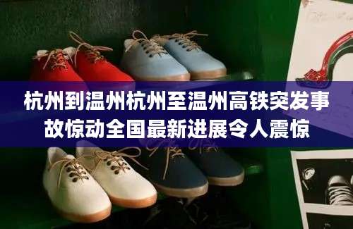 杭州到温州杭州至温州高铁突发事故惊动全国最新进展令人震惊