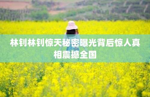 林钊林钊惊天秘密曝光背后惊人真相震撼全国