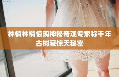 林梢林梢惊现神秘奇观专家称千年古树藏惊天秘密