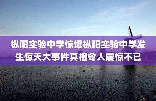 枞阳实验中学惊爆枞阳实验中学发生惊天大事件真相令人震惊不已