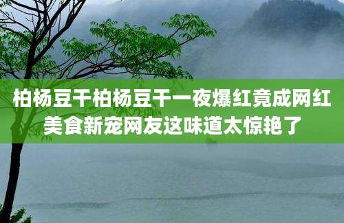 柏杨豆干柏杨豆干一夜爆红竟成网红美食新宠网友这味道太惊艳了