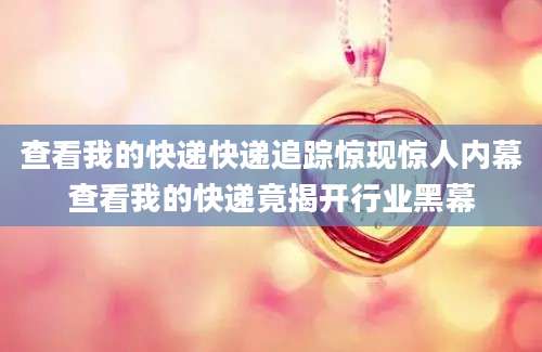 查看我的快递快递追踪惊现惊人内幕查看我的快递竟揭开行业黑幕