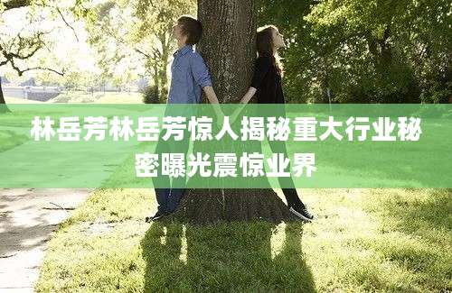 林岳芳林岳芳惊人揭秘重大行业秘密曝光震惊业界