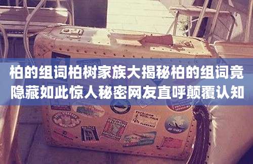 柏的组词柏树家族大揭秘柏的组词竟隐藏如此惊人秘密网友直呼颠覆认知