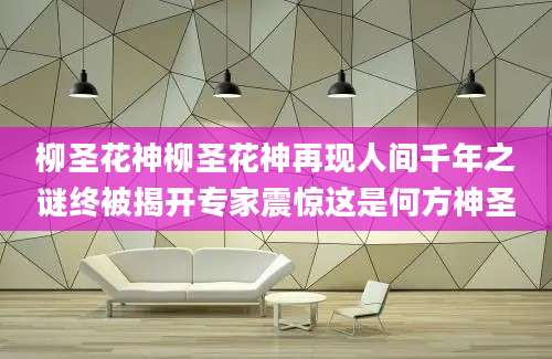 柳圣花神柳圣花神再现人间千年之谜终被揭开专家震惊这是何方神圣