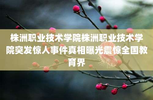 株洲职业技术学院株洲职业技术学院突发惊人事件真相曝光震惊全国教育界
